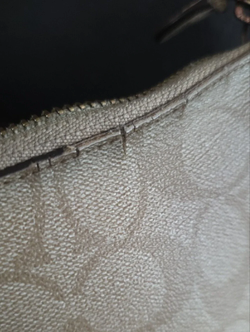 Coach Beige Signature Canvas Hobo Bag